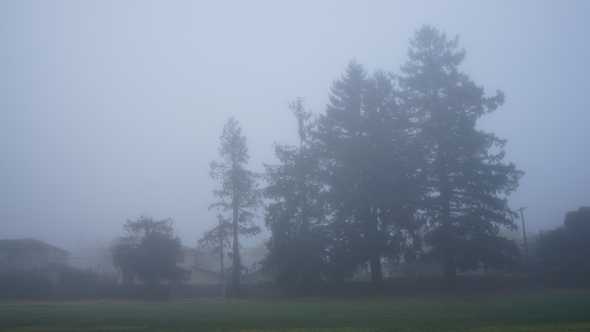 really-foggy-DSC05380.JPG