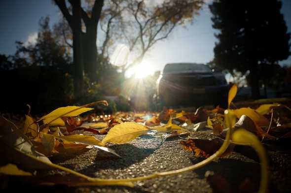 leaves-on-floor-DSC05417.jpg